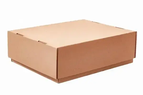 Caixa de papelão tipo exportação
